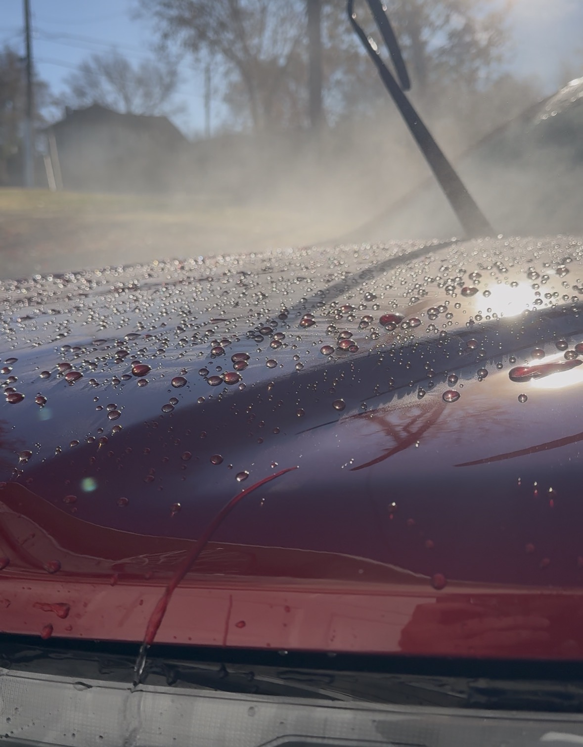Ceramic Coatings by LV Auto Detailing